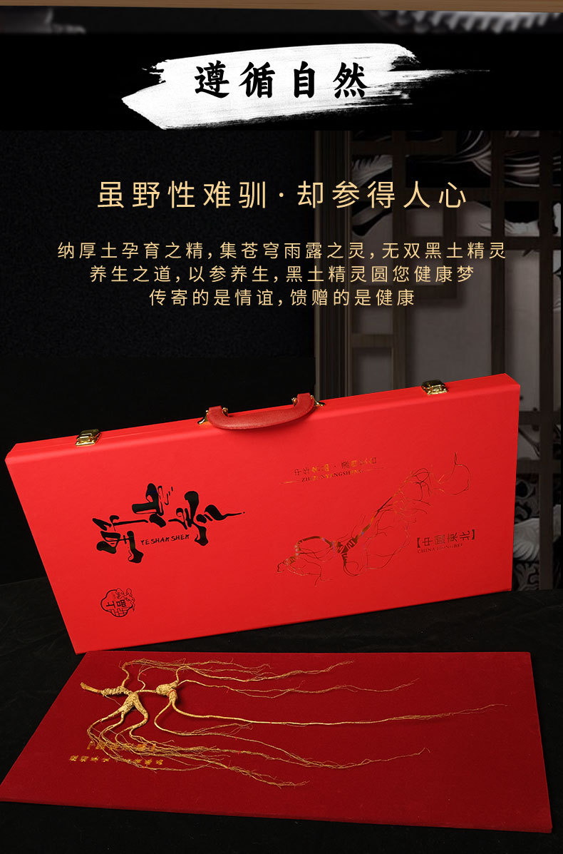 Wild Mountain Ginseng Gift Box Dried Root Slices 15 Years and Above for Soup and Decoction overview