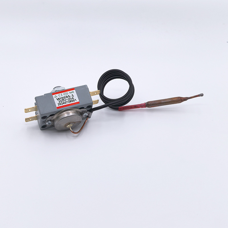 Factory Customized Bipolar Capillary Temperature Limiter Electric Water Heater Anti-Dry Burning Constant Temperature Control Switch Thermostat