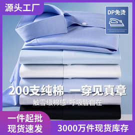 200支纯棉商务长袖衬衫男士DP成衣免烫轻奢正装衬衣高档职业正装