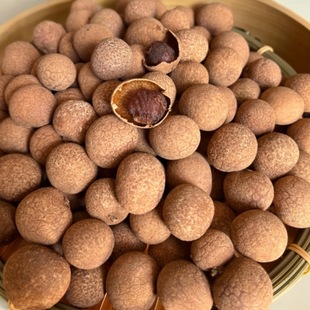 �V���������A�ɮa�����l����r�ۏV���خa���A�����۸�