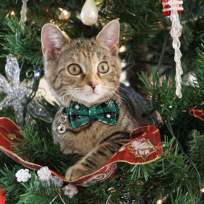 クリスマススノーフレーク蝶ネクタイペット猫首輪犬首輪抗窒息安全バックル調整可能な卸売|undefined