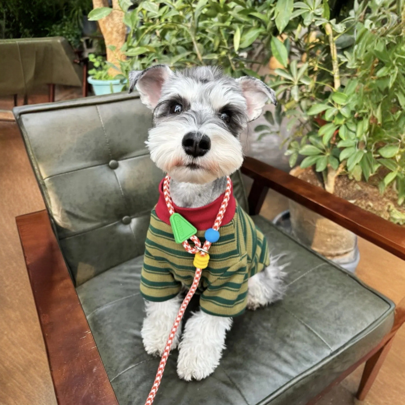 Primavera y verano ropa de perro delgada Teddy Malzies rayas camiseta de cuello redondo básico Schnauzer pequeño y medio perro