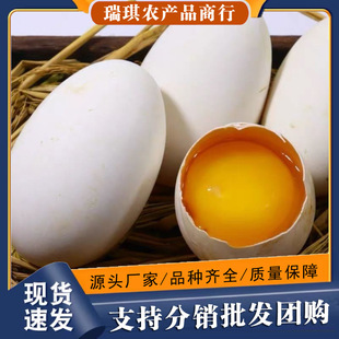 �r���������Z�����r�ش����Z�����lһ���ЋD����24ö���]���l