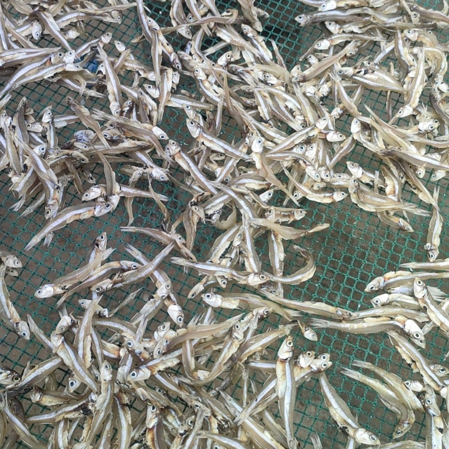 深海天然小鱼干丁香淡水小鱼干生晒小鱼干跑江湖地摊展会小鱼干