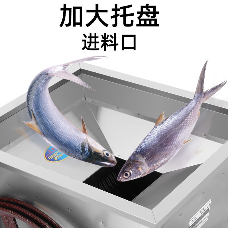 máquina de corte de pescado comercial de alta potencia cortadora automática grande cortadora de pescado cortadora de carne de pescado máquina de alimentación especial para granja de peces