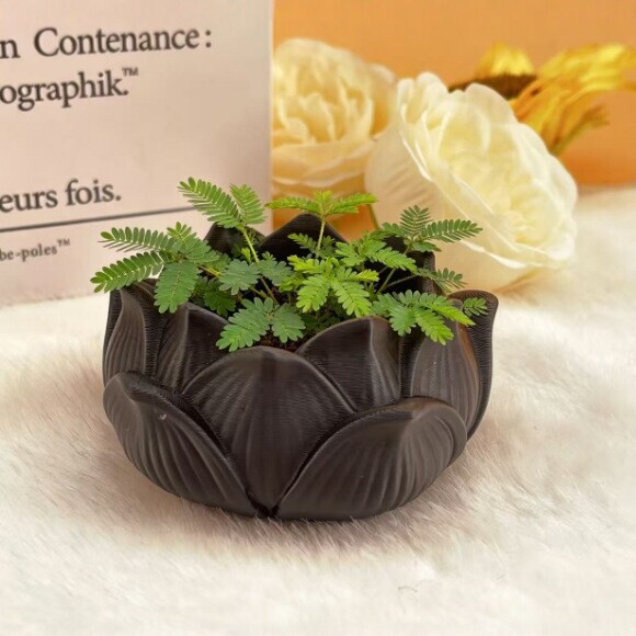 Creative Lotus-shaped Flower Pot Ornament, Desktop Green Plant Decoration Small Flower Vase, Available in Multiple Colors Creative Lotus-shaped Flower Pot Ornament, Desktop Green Plant Decoration Small Flower Vase, Available in Multiple Colors
