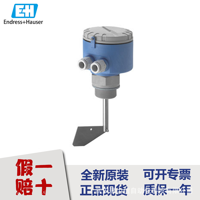 E+H 特价CLS54-ACS1022电导率电极