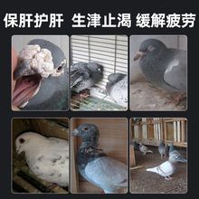 �S�߸ξ�����ِ�����ο���ֹ�ʺ������س�Ҋ���Ӳ������{���ξ�ș
