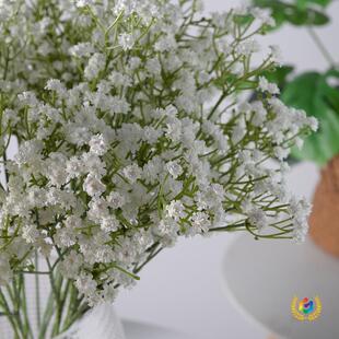 ��M���� �ָ�ܛ�z����Y�b��������ϝM��������ٻ���
