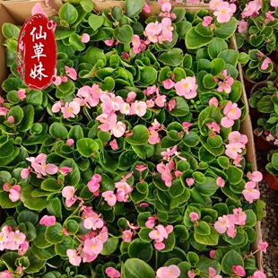 �ļ����Ļ����ļ��_�����Ď������Gֲ���Ի������@�����G��