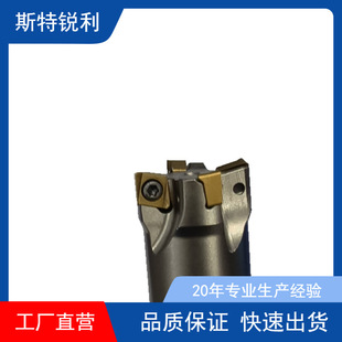 ���ص��U 45�� M�� �ȿ�܇�� S20R/S25S/S32T-MSSNR12  -MSSNL12