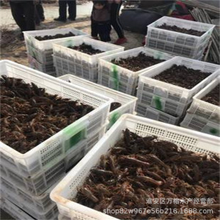 ���lС���r�� ��ˮ���r�� ���r��ֱ�N���󃞻�