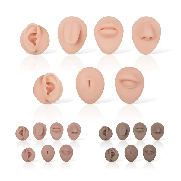 Cross-Border Soft Silicone Facial Features Three-Color Seven-Piece Set Tattoo Practice Model Source Manufacturer Wholesale Tattoo Practice Model