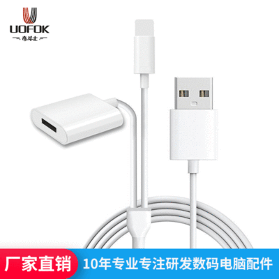 Cross border apply Apple Stylus Capacitance pencil Pencil lightning Two-in-one charge Connecting line