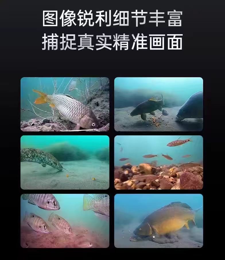 902ebca4-952e-4486-9420-cb2924299ee3.jpe