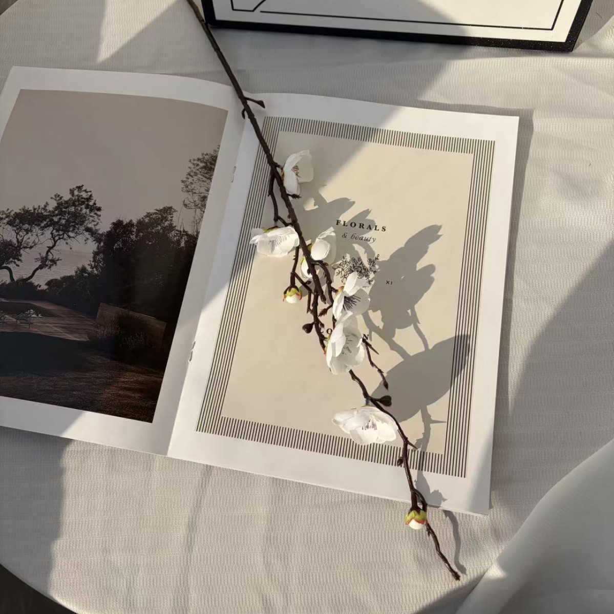 Simulación flor de ciruela estilo chino decoración de flores para el hogar arquitetura floral pastoral rama de ciruela props de disparo flor artificial explosión transfronteriza