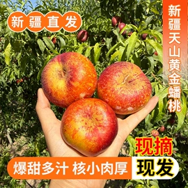 红枣干;葡萄干;哈密瓜