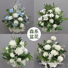 �¿�ߙn�軨·������Y·������̨̨����ӭ�e�^�b��Ƿ��滨