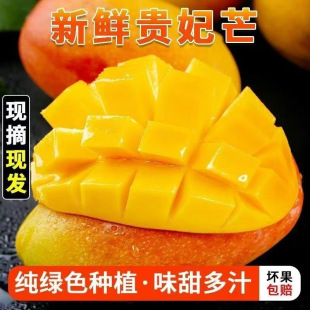 ���ں����F��â���Ꭷ���rˮ�������r������Fժ�F�l