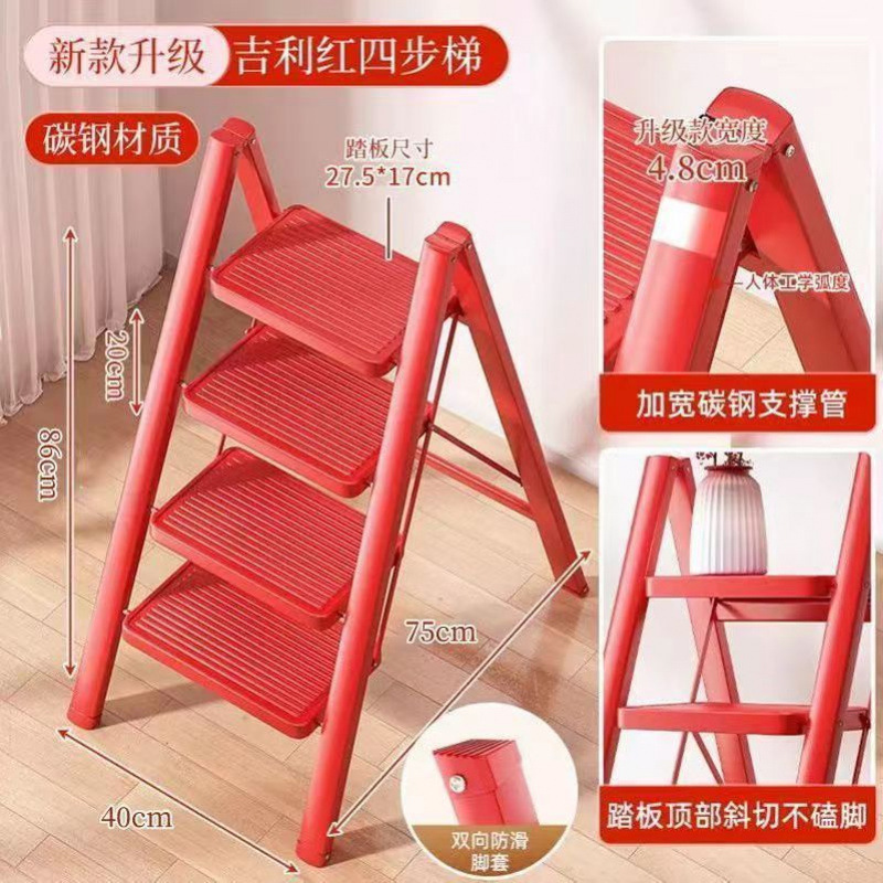 /베고니아 레드 4단계 - 점장 추천