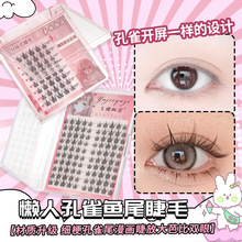 ������ˑ��˿�ȸ�~�ٽ�ë��������Ȼ���漚�����˷ֶ������۽�ë