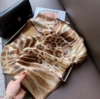 Leopard Tale H
