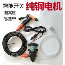 车载家用高压洗车12V 220V电动洗车器微小型水泵洗车机清洗水枪品