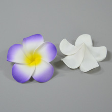 6cm�u�������������ĭ�������Ķȼ��L�^�߅���͑���zӰ����