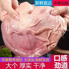 ���rֻ���i��ȥ��ɢ�B�r���i���iθ��ϴ������