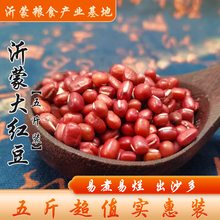 5����؛��С���ඹ�L���t��޲�����n����s�Z�ּZ����������ɳ