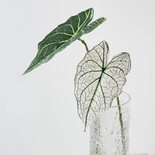 Alocasia leaf simulation flower forest leaf material wedding decoration plant simulation green plant indoor living room flower arrangement Guanyin lotus