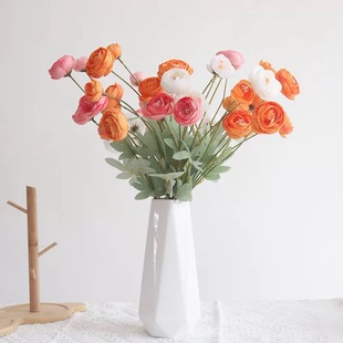 �羳���^¶ɏ����÷�Ҿ��bzӰ�������컨�������l���滨���l