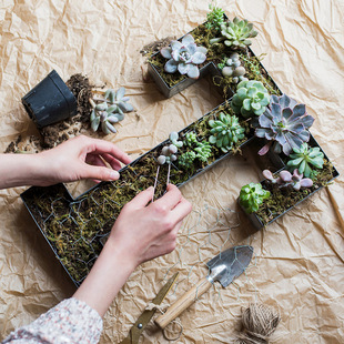 �FƤ��ĸ���л������軨�۔[���ڒ��b��@���ƶ����辰