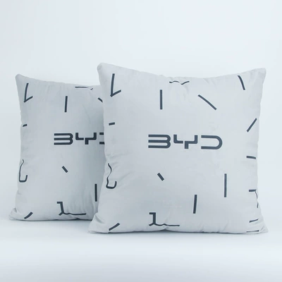 Logo Fixed Pillow, Four-Season Universal – Headrest - pair-of-gray-pillow
