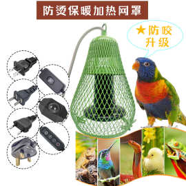宠物鹦鹉防咬过冬取暖器猫狗小宠蜥蜴芦丁鸡陶瓷加热保暖防烫灯罩