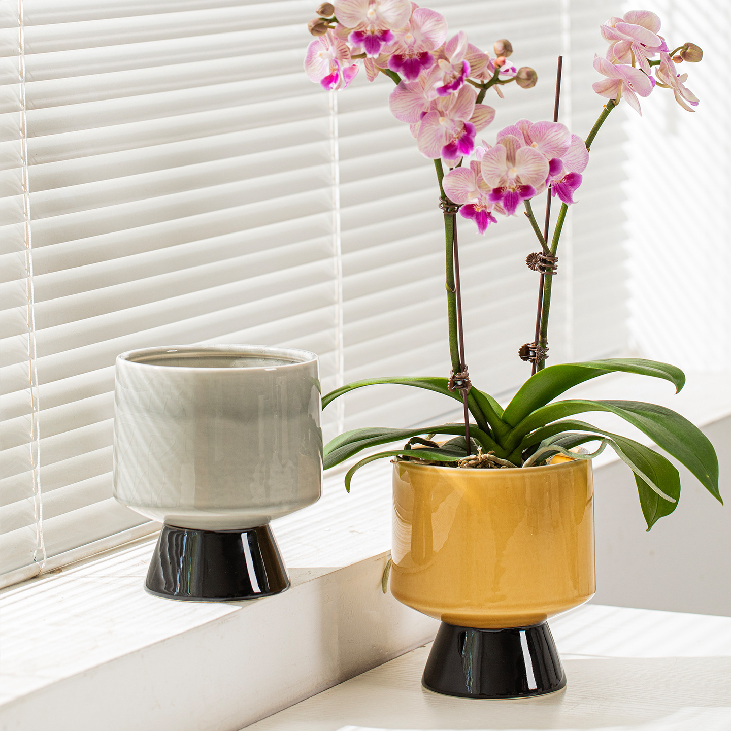 Orquídea simple mariposa de una planta cerámica ligera de lujo de alto nivel retro alto pie plantación verde interior especial maceta de flores pequeñas image 4
