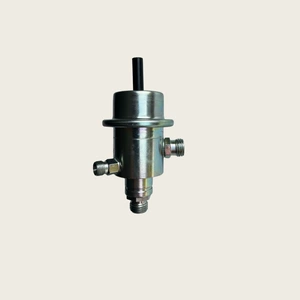 High Quality Pressure Regulator 0438161001 0000780392 Fp10651 Pr416