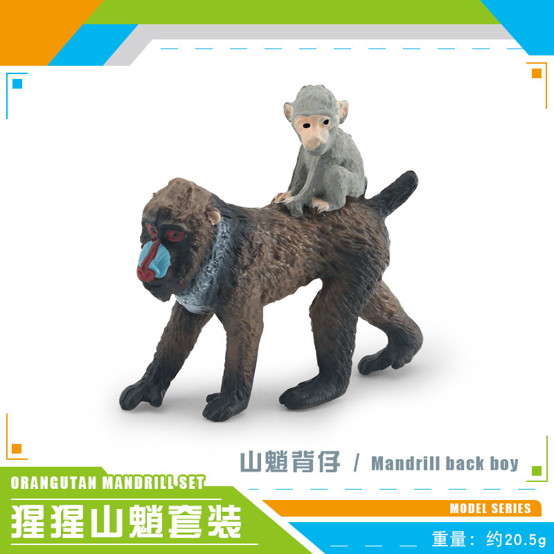 PL127-191 Shanqi espalda muñeca 20,5G