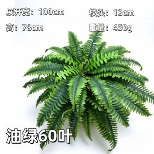 �F؛�羳���R�d24�~30�~36�~60�~88�~����Gֲ��˹�~��˹���Dާ�