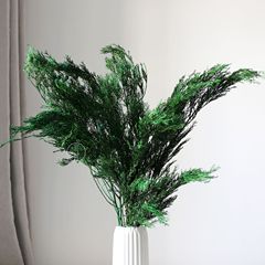 永遠の命松柏の丸いヒノキの側柏の花の花束の松の鹿の角の松のクリスマスツリーの花輪のペンダントdiyの装飾