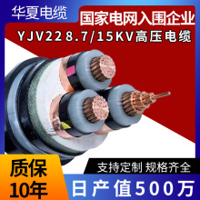 �~оyjv22�߉���|3о�z�b���|8.7/15kv3*95/300/500ƽ��늾���|