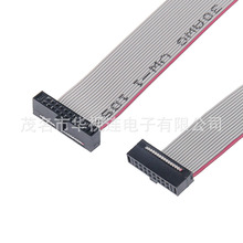 1.27*1.27 IDC 20P �p�^�t߅���ž� 2678 350mm 2*10P���|