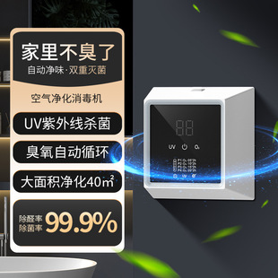 Cross-border Air Ultraviolet Disinfector Sterilization Household Pet Ozone Deodorization Wall Rechargeable Toilet Purifier