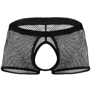 Tzy1144P men's sexy underwear underwear mid-waist large mesh front and back boxer shorts