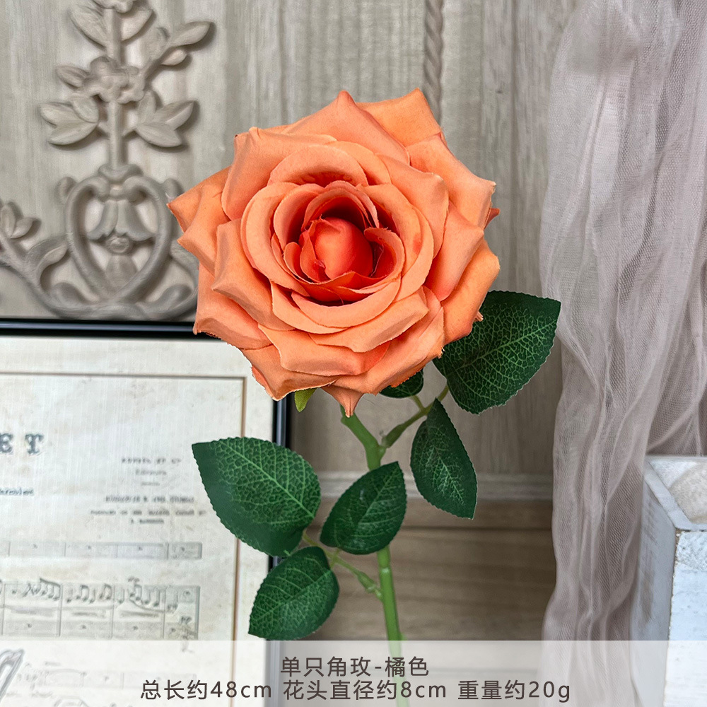 TY - Hoa Hồng Một Ngọn - Cam