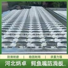 ���P��{�~������� ���ü��x������ˮ���g���� ��X��͹�����