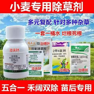 С�����݄�����ȸ�������ﲥ������݄�����p��С������ó���