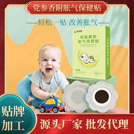 保健护具;身体护理套装;身体贴膏