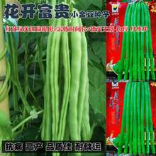 M´GʯNѸ߮aļLǷNƷNLǷN