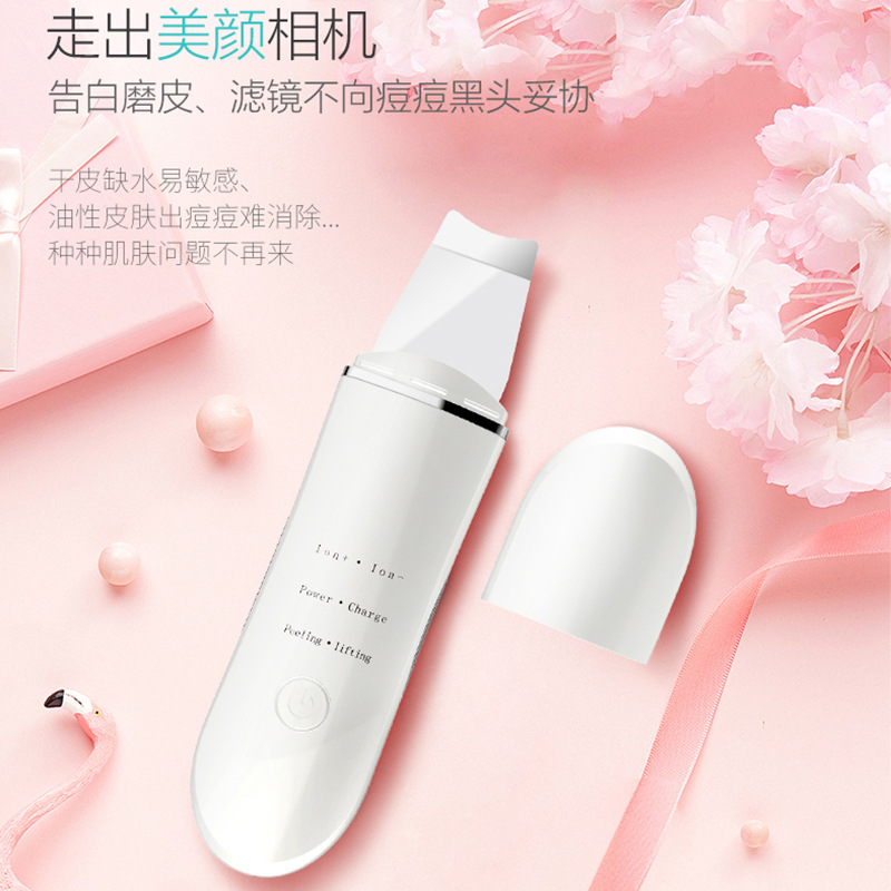 Ion Beauty Importer Exporter Cleansing Instrument Washing Face